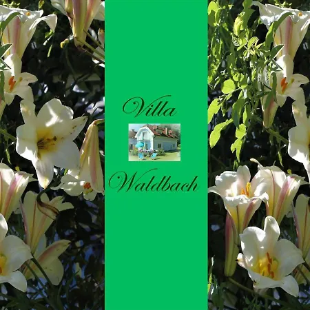 Daire Am Woerthersee Waldbach Krumpendorf