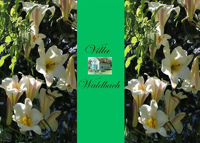 Apartament Am Woerthersee Waldbach Krumpendorf